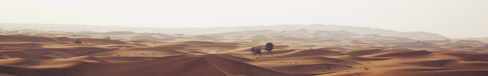 ൺ⾭ó޹˾